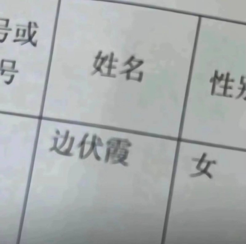 取名的艺术🤔取名的艺术🤔