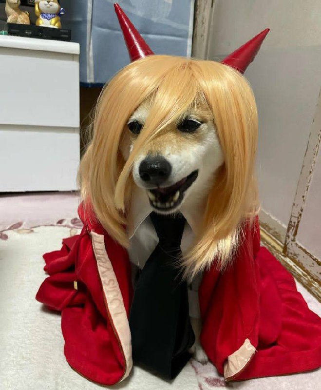 #狗狗 #Cosplay#狗狗 #Cosplay
