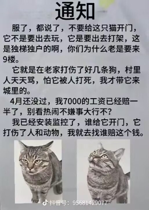 …………