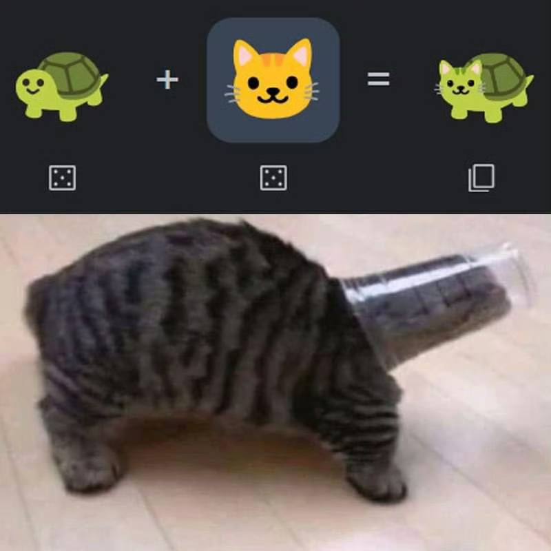 #猫猫