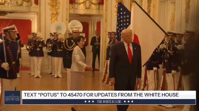 顶级智斗顶级智斗