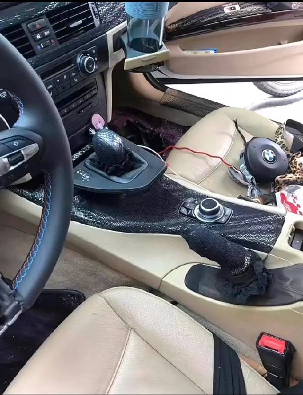 好车，性感好车，性感