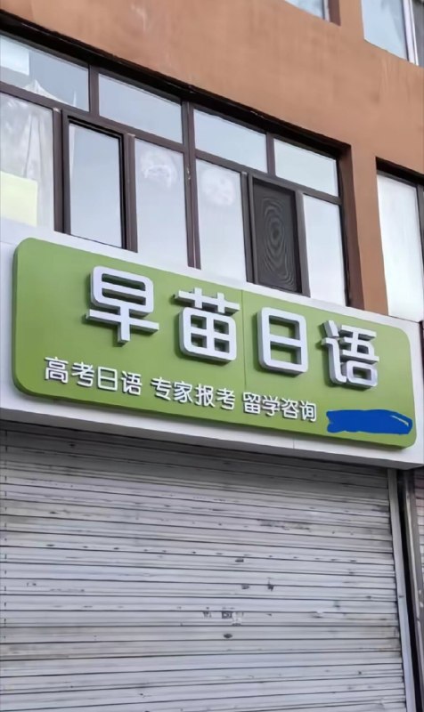 看起来很地道🤔