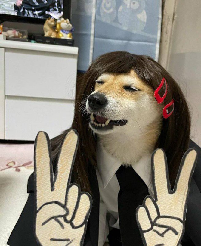 #狗狗 #Cosplay#狗狗 #Cosplay