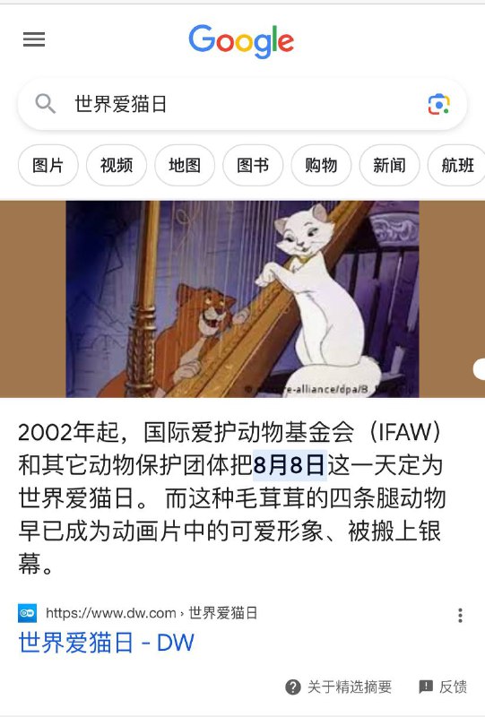 今天是世界爱猫日，请分享出你的猫猫图😋