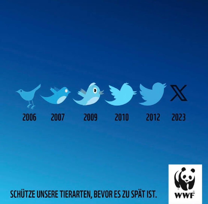 马斯克将 Twitter 的小蓝鸟标志改成 X 后，德国 WWF（世界自然基金会）顺势做了一张内涵海报，上面文案写的是