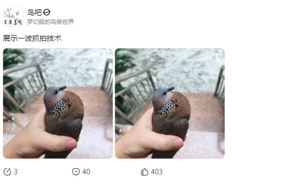 确实抓拍😑