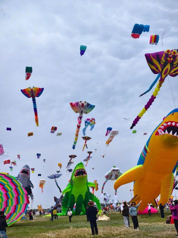 2026潍坊风筝节群英荟萃2026潍坊风筝节群英荟萃