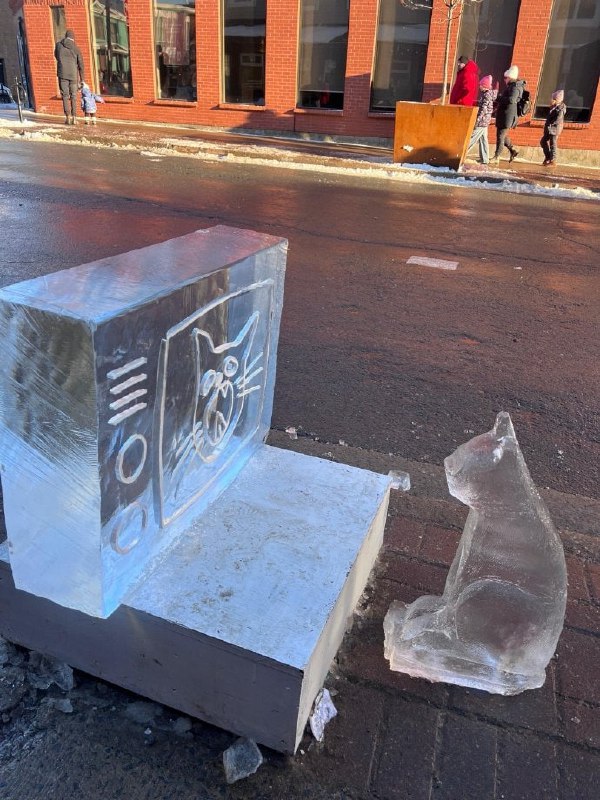 #猫猫#猫猫