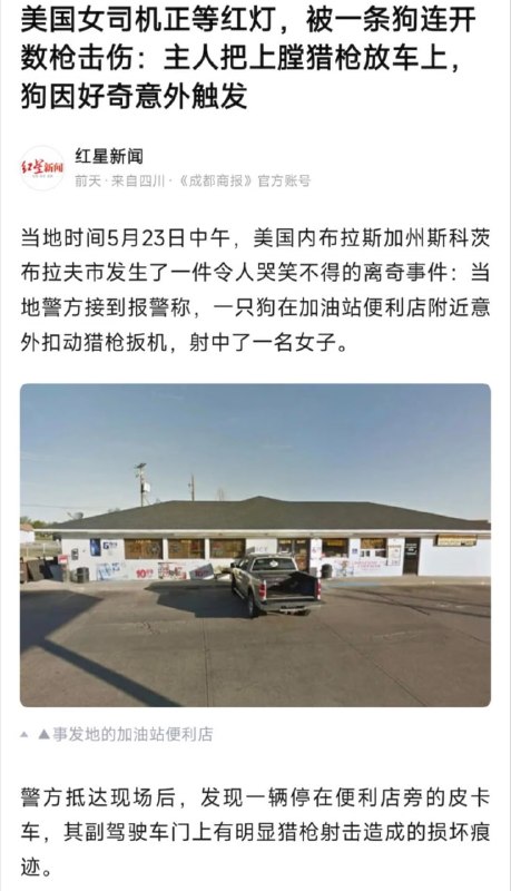 人类被狗开枪打死的概率不为0😧人类被狗开枪打死的概率不为0😧