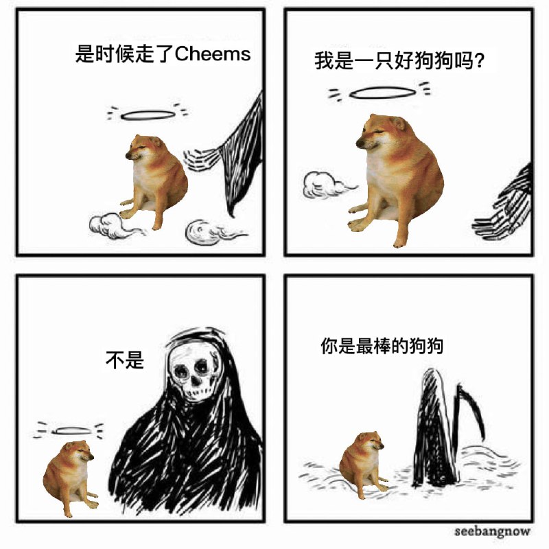 最棒的狗狗❤️