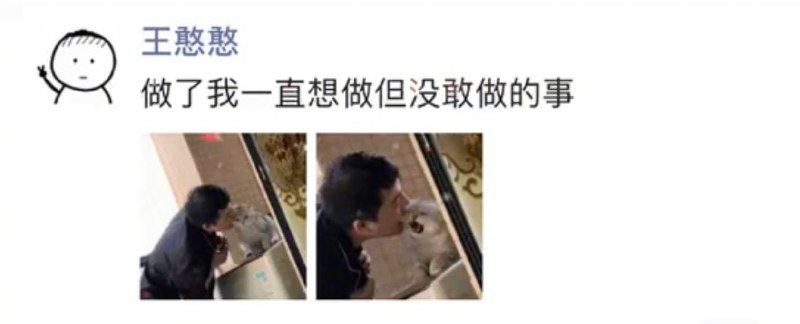 撸猫的最高境界
