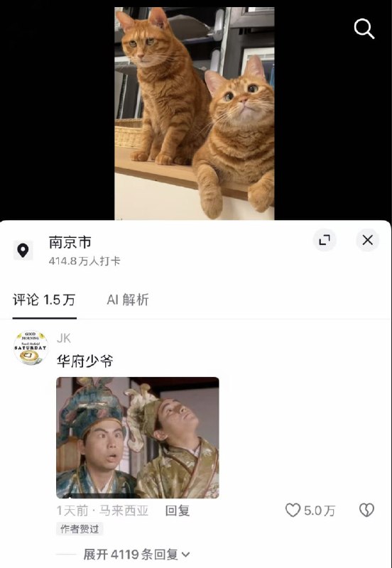 😅#猫猫