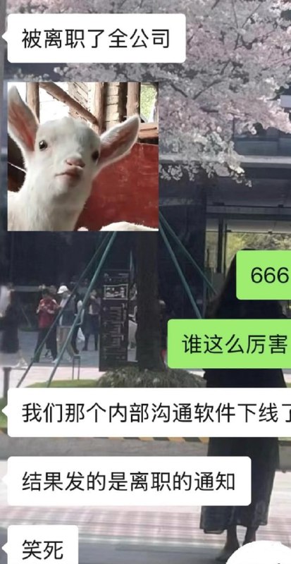据传携程误发全员离职信息😧据传携程误发全员离职信息😧