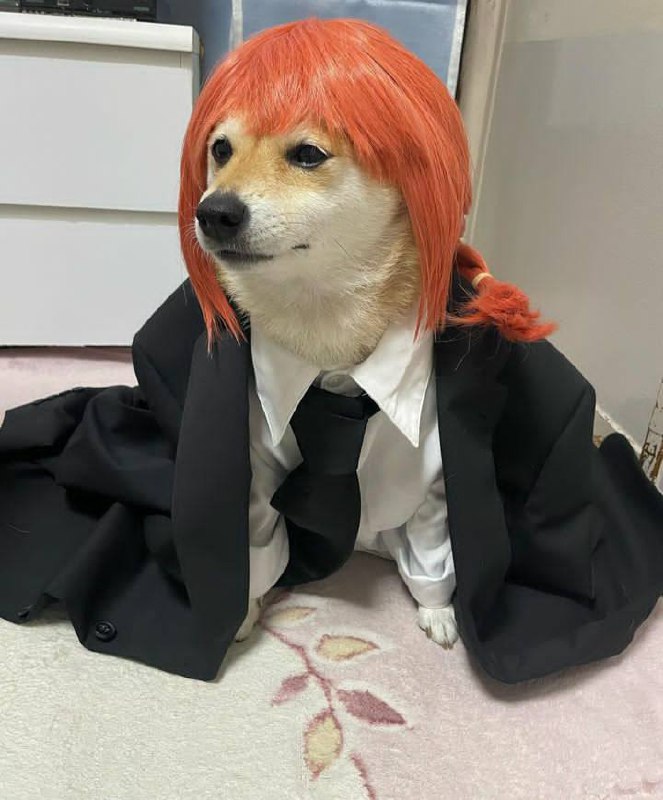 #狗狗 #Cosplay#狗狗 #Cosplay