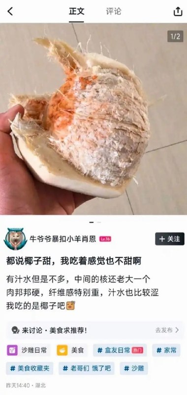 大果大果嚼嚼嚼大果大果嚼嚼嚼