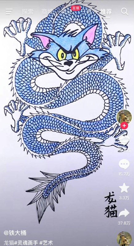 龙猫