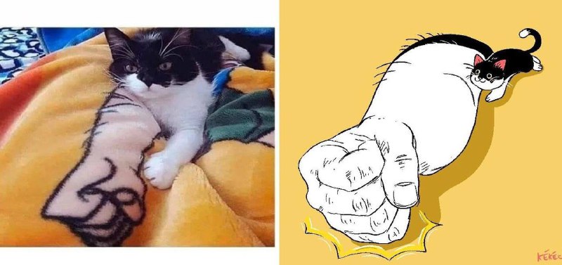 #猫猫