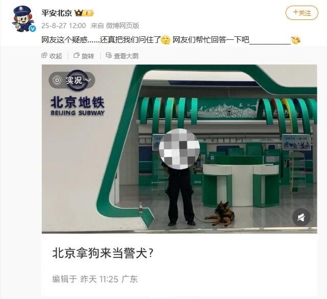 警犬一定要是狗