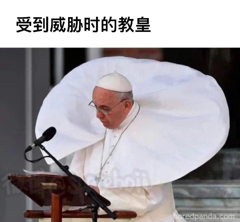 你 惊动了 教皇