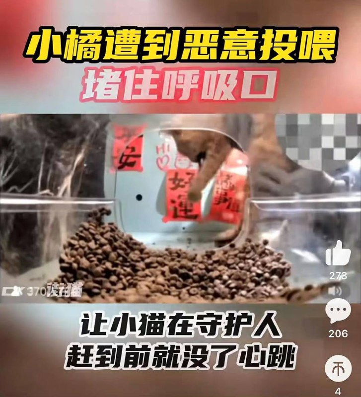 ？？