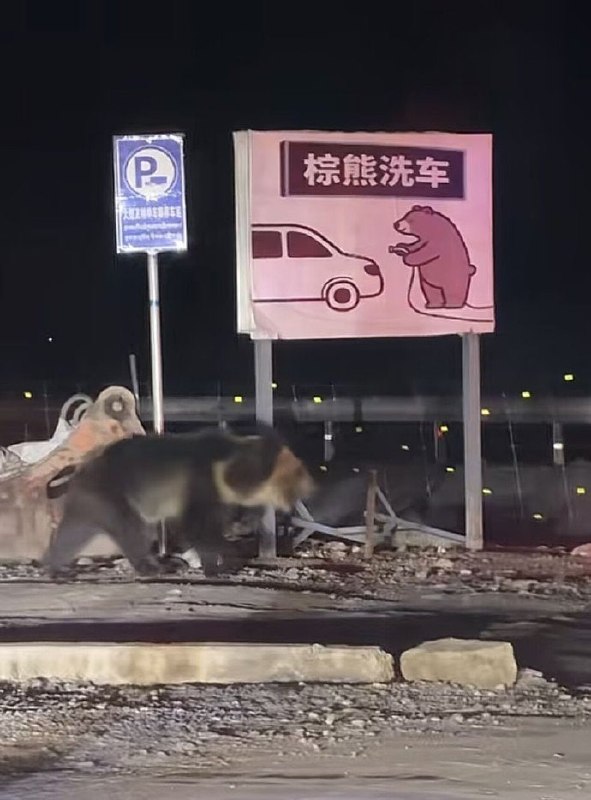 来真的？😦