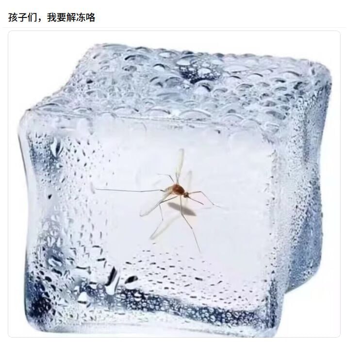 接下来将要解冻的是……
