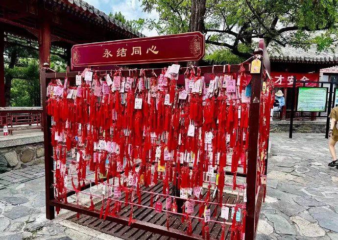 婚育下降可视化🤔️婚育下降可视化🤔️