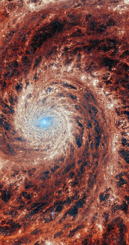 詹姆斯·韦伯望远镜拍摄的M51星系🤩（原图见评论区）