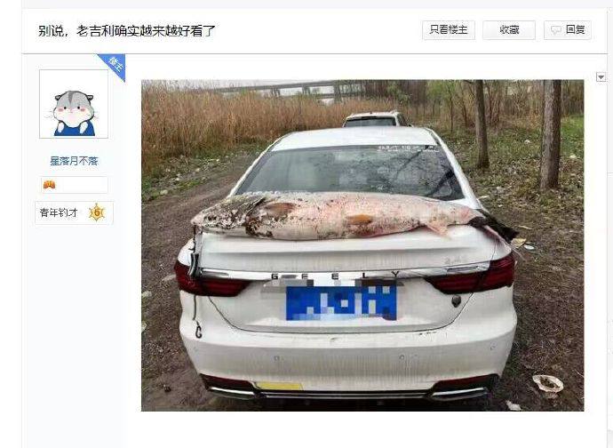 钓鱼佬的炫耀钓鱼佬的炫耀