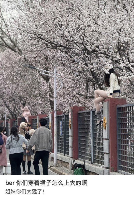 为了出片拼了😧