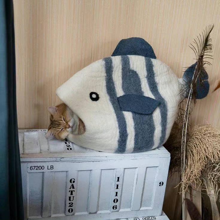#猫猫