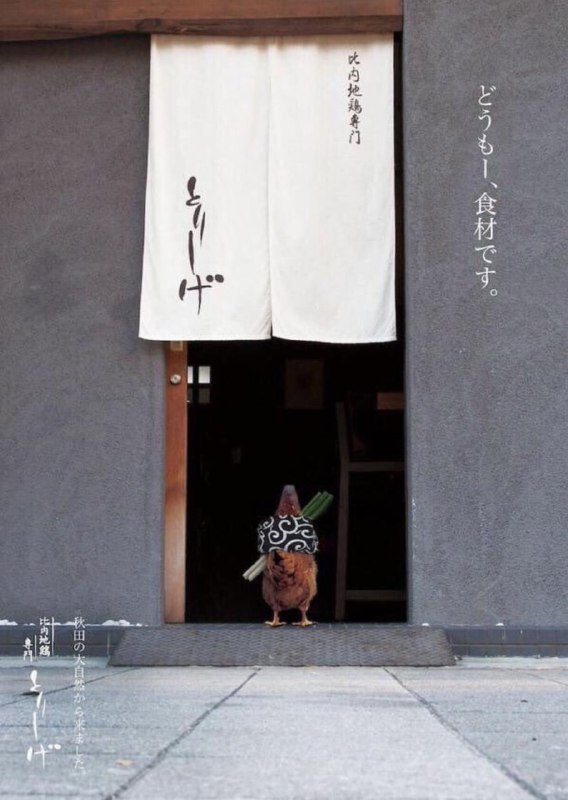 经典回顾经典回顾