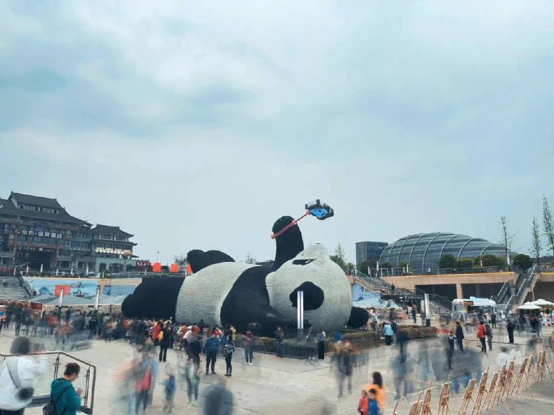 自拍熊猫🐼自拍熊猫🐼
