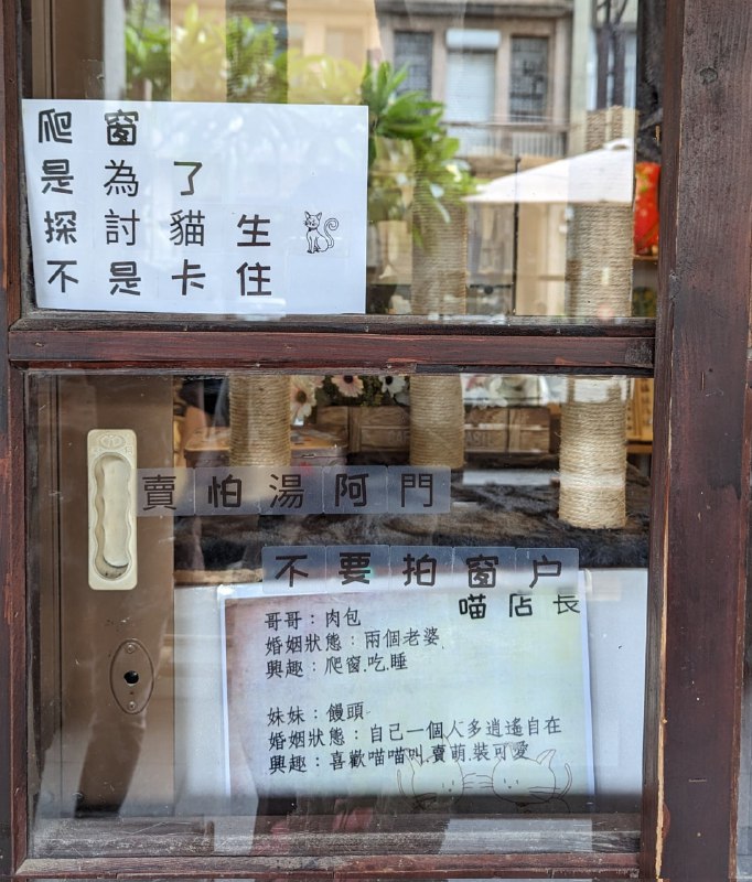 #猫猫#猫猫